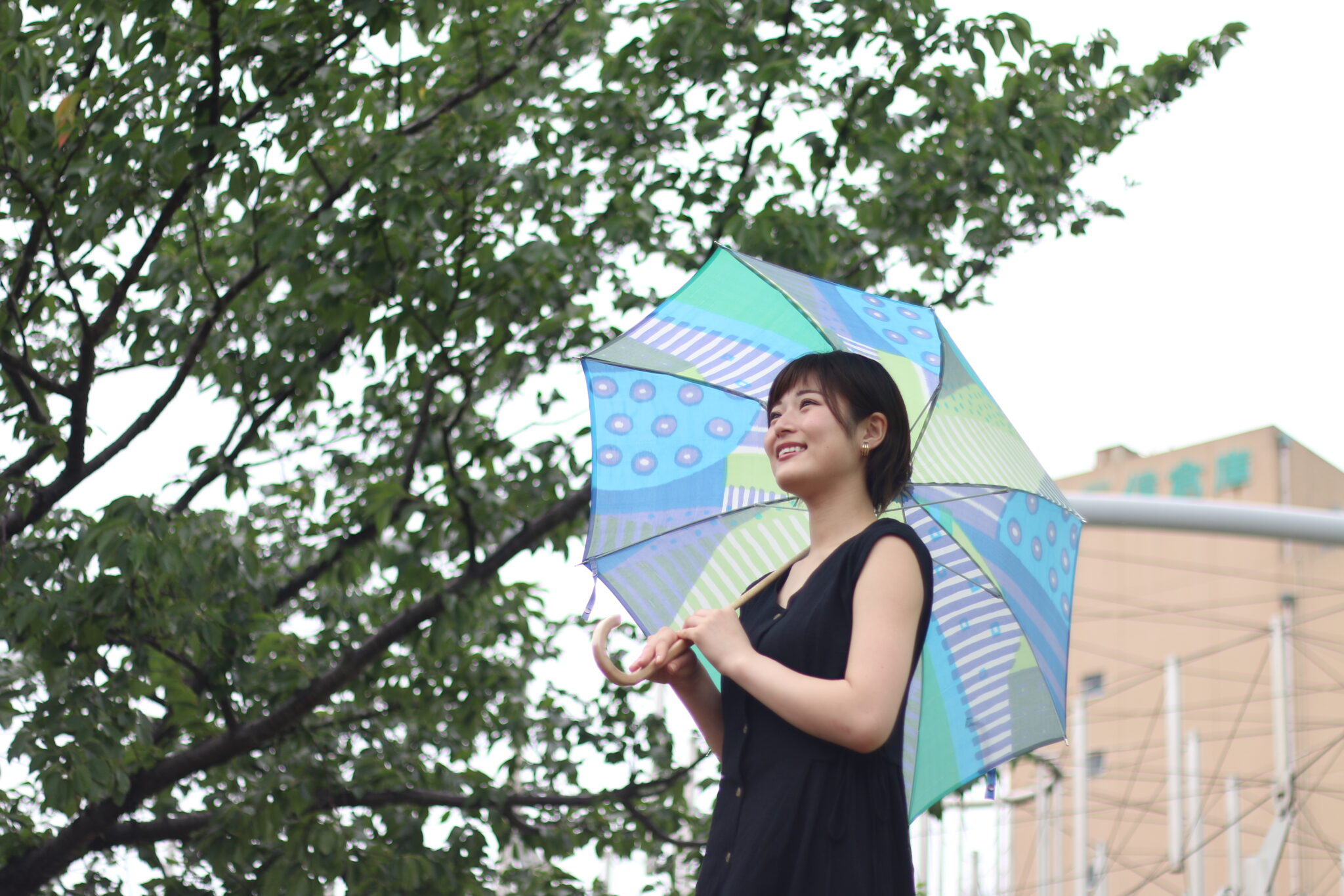 え。傘生地って布なんですか？というお話 | 舟久保織物|日常に彩りを与える傘ブランド|日本製オリジナル生地のOEM生産